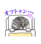 ぽんずときなこの毎日（個別スタンプ：18）
