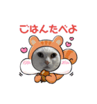 ぽんずときなこの毎日（個別スタンプ：20）