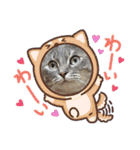 ぽんずときなこの毎日（個別スタンプ：24）