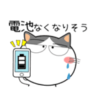 ハチワレ猫★家族通信（個別スタンプ：15）