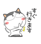 ハチワレ猫★家族通信（個別スタンプ：24）