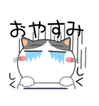 ハチワレ猫★家族通信（個別スタンプ：40）