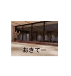 九州女学院2（個別スタンプ：12）