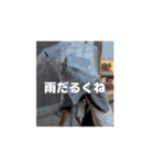 ADHDだけどいいんすかー？（個別スタンプ：8）