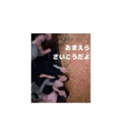 ADHDだけどいいんすかー？（個別スタンプ：9）