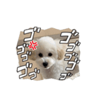 おもちの日常【1】（個別スタンプ：7）