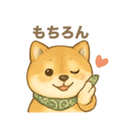 とあるシバ犬の日常（個別スタンプ：3）