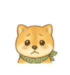 とあるシバ犬の日常（個別スタンプ：7）