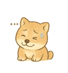 とあるシバ犬の日常（個別スタンプ：12）