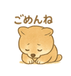 とあるシバ犬の日常（個別スタンプ：13）