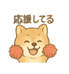 とあるシバ犬の日常（個別スタンプ：15）