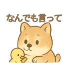 とあるシバ犬の日常（個別スタンプ：16）