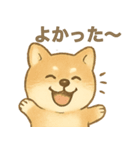 とあるシバ犬の日常（個別スタンプ：18）