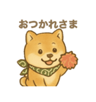 とあるシバ犬の日常（個別スタンプ：19）
