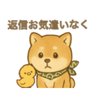 とあるシバ犬の日常（個別スタンプ：20）