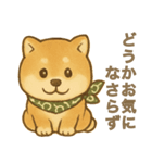 とあるシバ犬の日常（個別スタンプ：22）