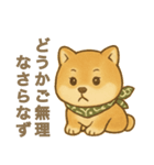 とあるシバ犬の日常（個別スタンプ：26）