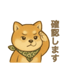 とあるシバ犬の日常（個別スタンプ：31）