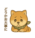 とあるシバ犬の日常（個別スタンプ：32）