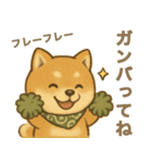 とあるシバ犬の日常（個別スタンプ：33）
