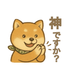 とあるシバ犬の日常（個別スタンプ：34）