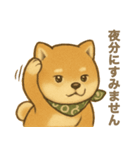 とあるシバ犬の日常（個別スタンプ：39）