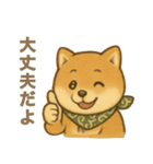 とあるシバ犬の日常（個別スタンプ：40）