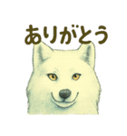 狼の守る城（個別スタンプ：15）