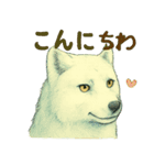 狼の守る城（個別スタンプ：19）