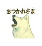 狼の守る城（個別スタンプ：21）