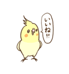 かわいいインコ達のスタンプ！（個別スタンプ：1）