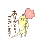 かわいいインコ達のスタンプ！（個別スタンプ：5）