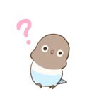 かわいいインコ達のスタンプ！（個別スタンプ：6）