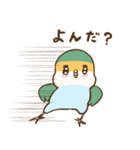 かわいいインコ達のスタンプ！（個別スタンプ：10）