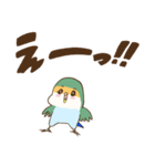 かわいいインコ達のスタンプ！（個別スタンプ：13）