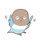 かわいいインコ達のスタンプ！（個別スタンプ：15）
