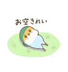 かわいいインコ達のスタンプ！（個別スタンプ：22）