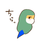 かわいいインコ達のスタンプ！（個別スタンプ：23）