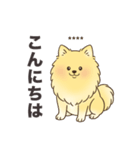 名前入りポメラニアンクリーム（個別スタンプ：2）