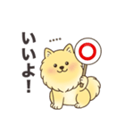 名前入りポメラニアンクリーム（個別スタンプ：5）