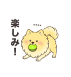 名前入りポメラニアンクリーム（個別スタンプ：7）