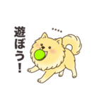 名前入りポメラニアンクリーム（個別スタンプ：8）