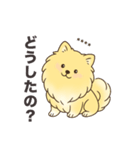 名前入りポメラニアンクリーム（個別スタンプ：9）