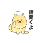 名前入りポメラニアンクリーム（個別スタンプ：10）