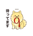 名前入りポメラニアンクリーム（個別スタンプ：12）