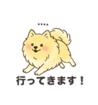 名前入りポメラニアンクリーム（個別スタンプ：14）