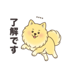 名前入りポメラニアンクリーム（個別スタンプ：15）