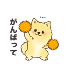 名前入りポメラニアンクリーム（個別スタンプ：17）