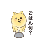 名前入りポメラニアンクリーム（個別スタンプ：19）