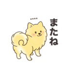 名前入りポメラニアンクリーム（個別スタンプ：20）